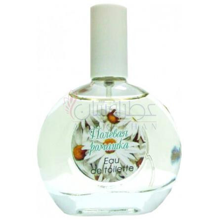 Wild Daisy-پکراوکا تریدینگ هاوس وایلد دیزی