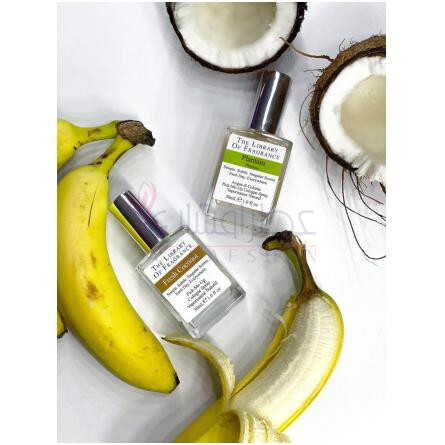 Coconut-دیمتر فرگرنس کوکونات