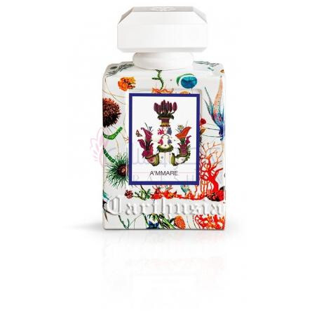 A'mmare-کارتوزیا اماره