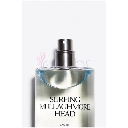 Surfing Mullaghmore Head-زارا سرفینگ مولامور هد