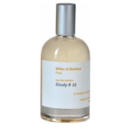 Study No. 23 / Newsletter-میلر ا برتو استادی نو 23 نیوزلتر