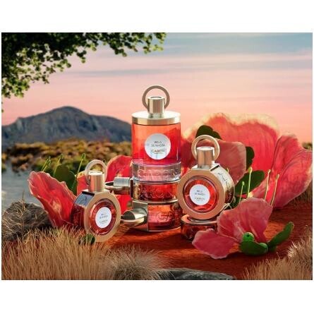 Belle de Niassa-کارون بل دی نایسا