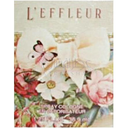 l'Effleur-کوتی لفلور