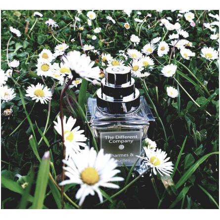 Charmes et Feuilles-دیفرنت کمپانی چرم ات فویل