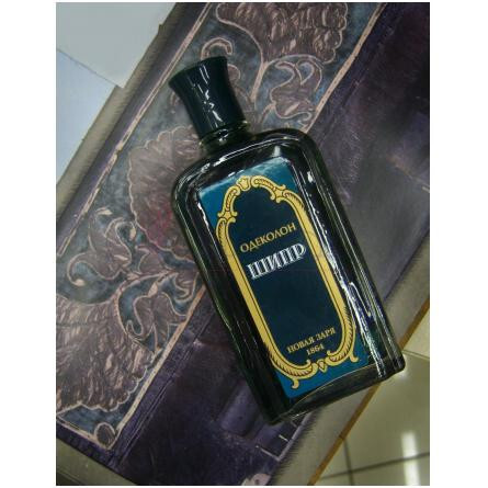 Shipr-نوول ایتویل شیپر