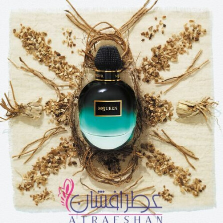Vetiver Moss-الکساندر مککوئین وتیور ماس