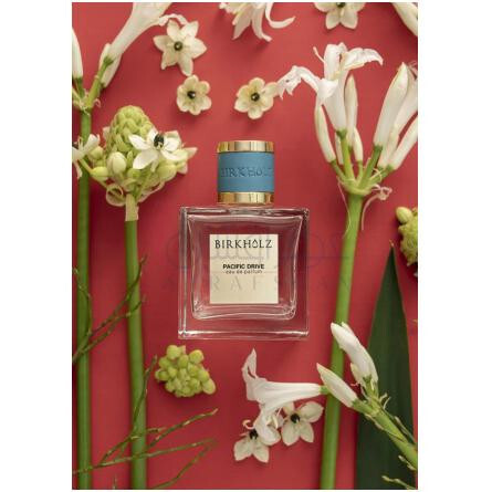 Pacific Drive-بیرخولز پسیفیک درایو