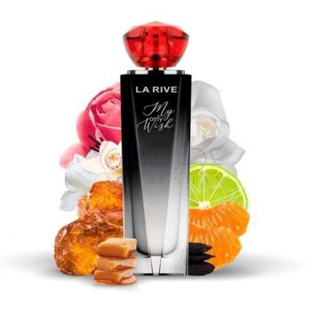 My Only Wish-لا ریو مای اونی ویش