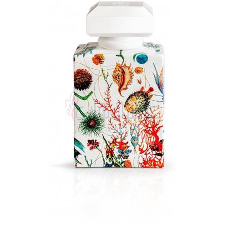 A'mmare-کارتوزیا اماره