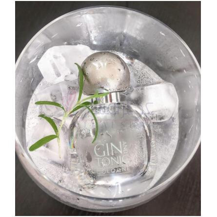 Gin and Tonic Cologne-ارت د پارفوم جین اند تونیک کلن