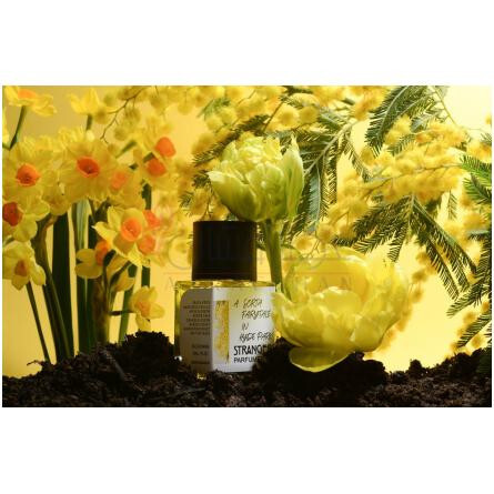 A Sorta Fairytale In Hyde Park-استرنجرز پرفیومری ا سورتا فیری تیل این هاید پارک