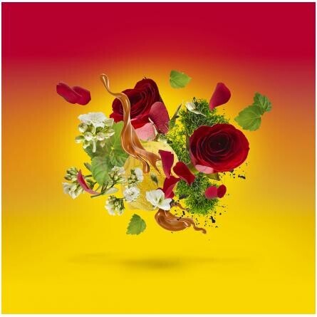 Levar del Sole-زرجوف بوار دل سولی