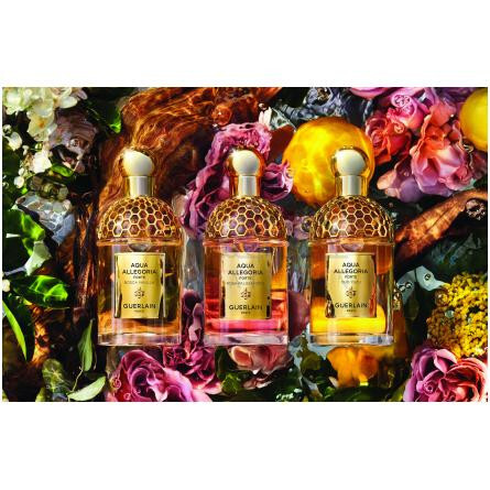 Aqua Allegoria Forte Oud Yuzu-گرلن اکوا الگوریا فورت عود یوزو