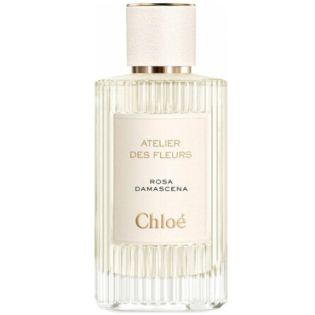 Rosa Damascena-کلوهه رزا داماسینا