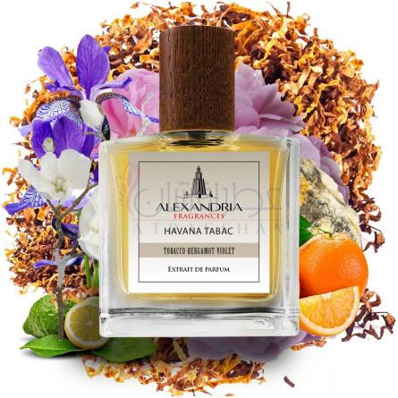 Havana Tabac-الکساندریا فرگرنسز هاوانا تاباک