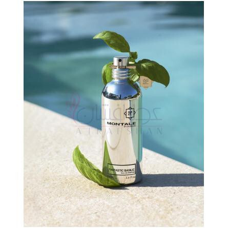 Fantastic Basilic-مونتال فنتستیک باسیلیک