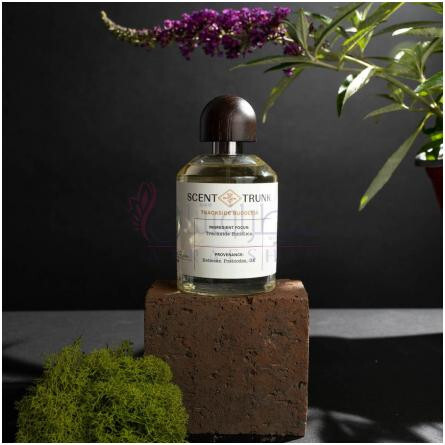 Trackside Buddleia-سنت ترانک ترکساید بادلیا