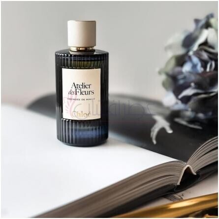 Orchidée de Minuit-کلوهه ارکید دی مینیوت