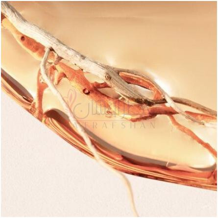 Boss Alive Intense-هوگو بوس ا لایو اینتنس