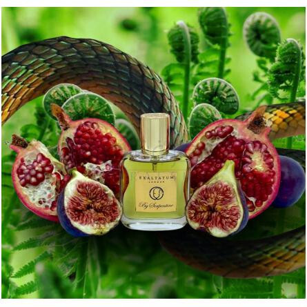 By Serpentine-اکسالتتوم بای سرپنتین