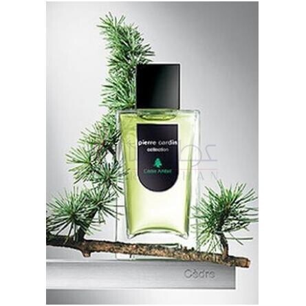 Pierre Cardin Collection Cedre-Ambre-پیره کاردین کالکشن سدر امبر