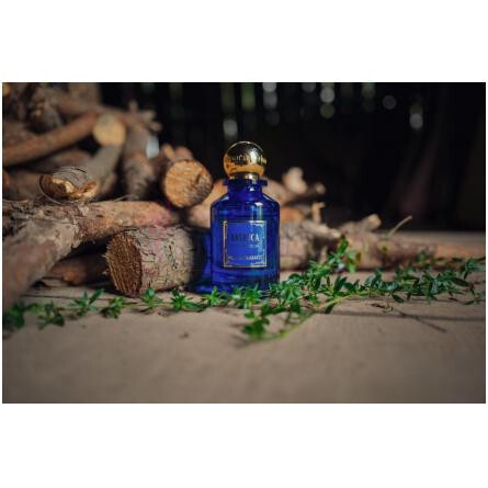 Basilica-میلان فرگرنزی باسیلیکا