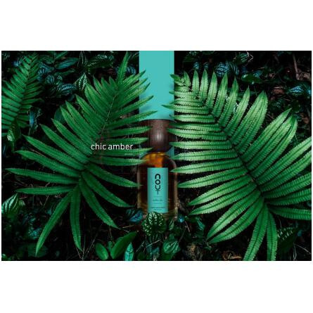 Ambre Chic-نوت امبر شیک