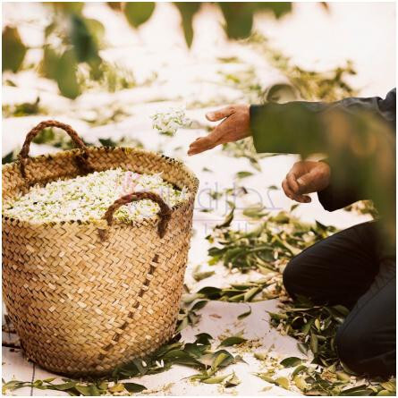 L'Interdit Burning Neroli-جیونچی له اینتردیت برنینگ نرولی