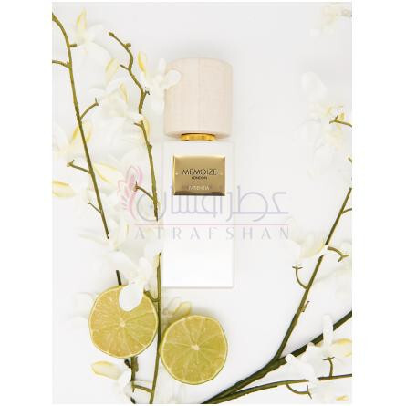 Patientia-ممویز لاندن پاتینتیا