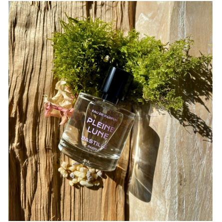 Pleine Lune-باستیل پارفومز پلین لون