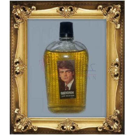 Dlya Muzhchin-نوول ایتویل دلیا موژچین