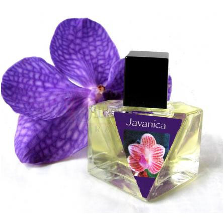 Javanica-المپیک ارکیدز ارتیسان پرفیومز جاوانیکا