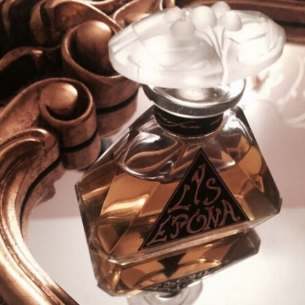 Lys Epona-جوووی پاریس لیس اپانا