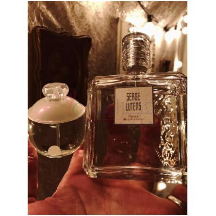 Fleurs de Citronnier-سرج لوتنس فلورز دی سیترونیر