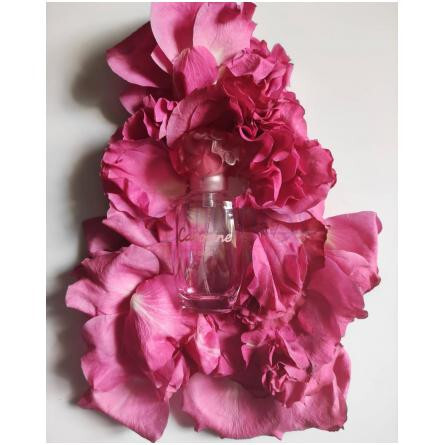 Cabotine Rose-گرس کابوتین رز