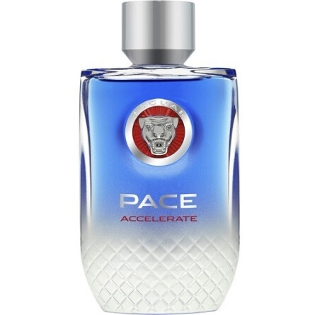 Pace Accelerate-جگوار پیس اکسلرت