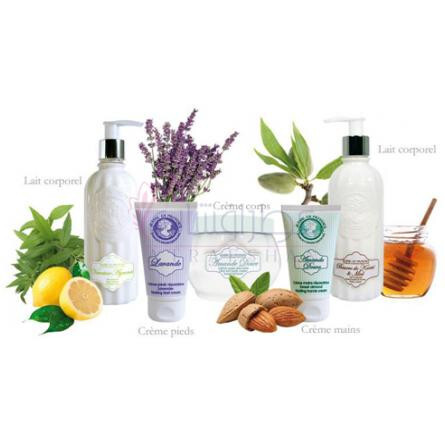 Bouquet d'Agrumes-ژان ان پروونس بوکت د اگرومس