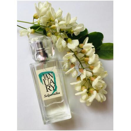 Selperniku-جَنیوئری سن پروجکتس سلپرنیکو