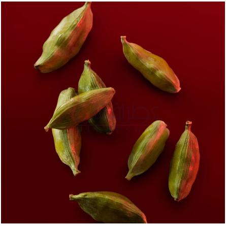 Amazonian Rose-کارولینا هررا امازونیان رز