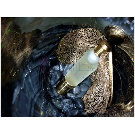 Terra Incognita-جوووی پاریس ترا اینکوگنیتا