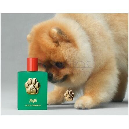 Fefé-دولچه گابانا فی فی