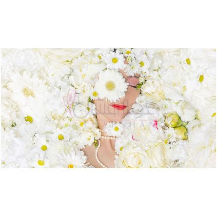 Lady B.-مالانوت لیدی بی