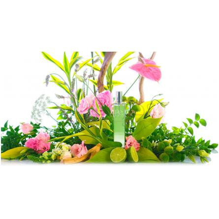 Be. Verde-بی کلونیاس بی ورد