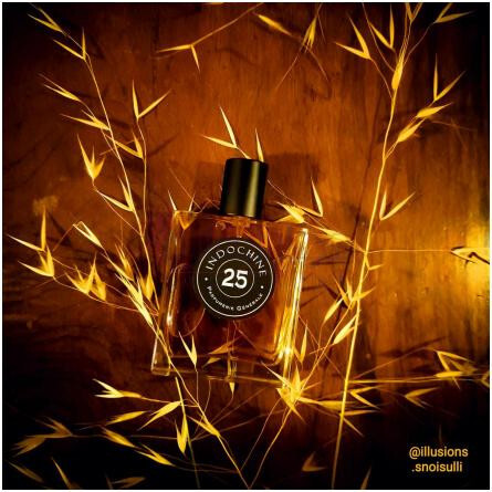 Indochine 25-پیر گیوم پاریس ایندوچاین 25