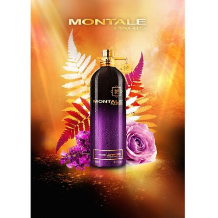 Aoud Lavender-مونتال آعود لوندر