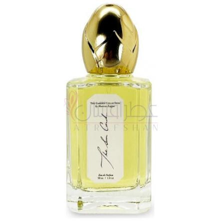 The Sun Card-ماریسا زاپاس د سان کارد