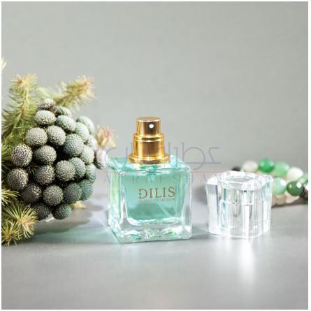 Dilis Classic Collection No. 42-دیلیس پارفوم دیلیس کلاسیک کالکشن شماره 42