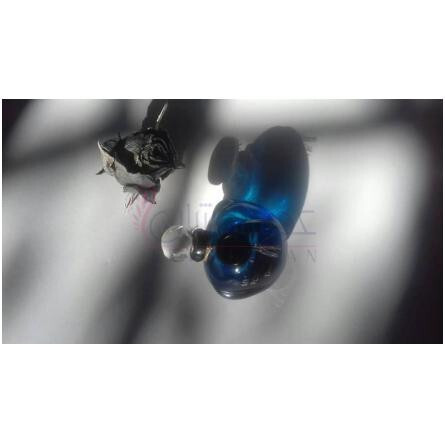 Midnight Poison Extrait de Parfum-دیور میدنایت پویزن اکستریت د پرفیوم