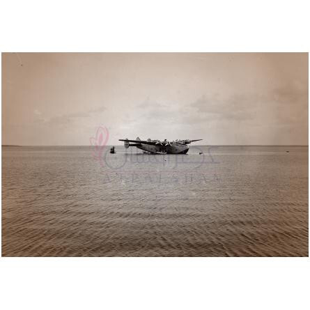 Iris Coffee-چریگان آیریس کافه