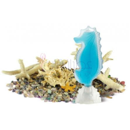 Seahorse-سی جولز سی هورس